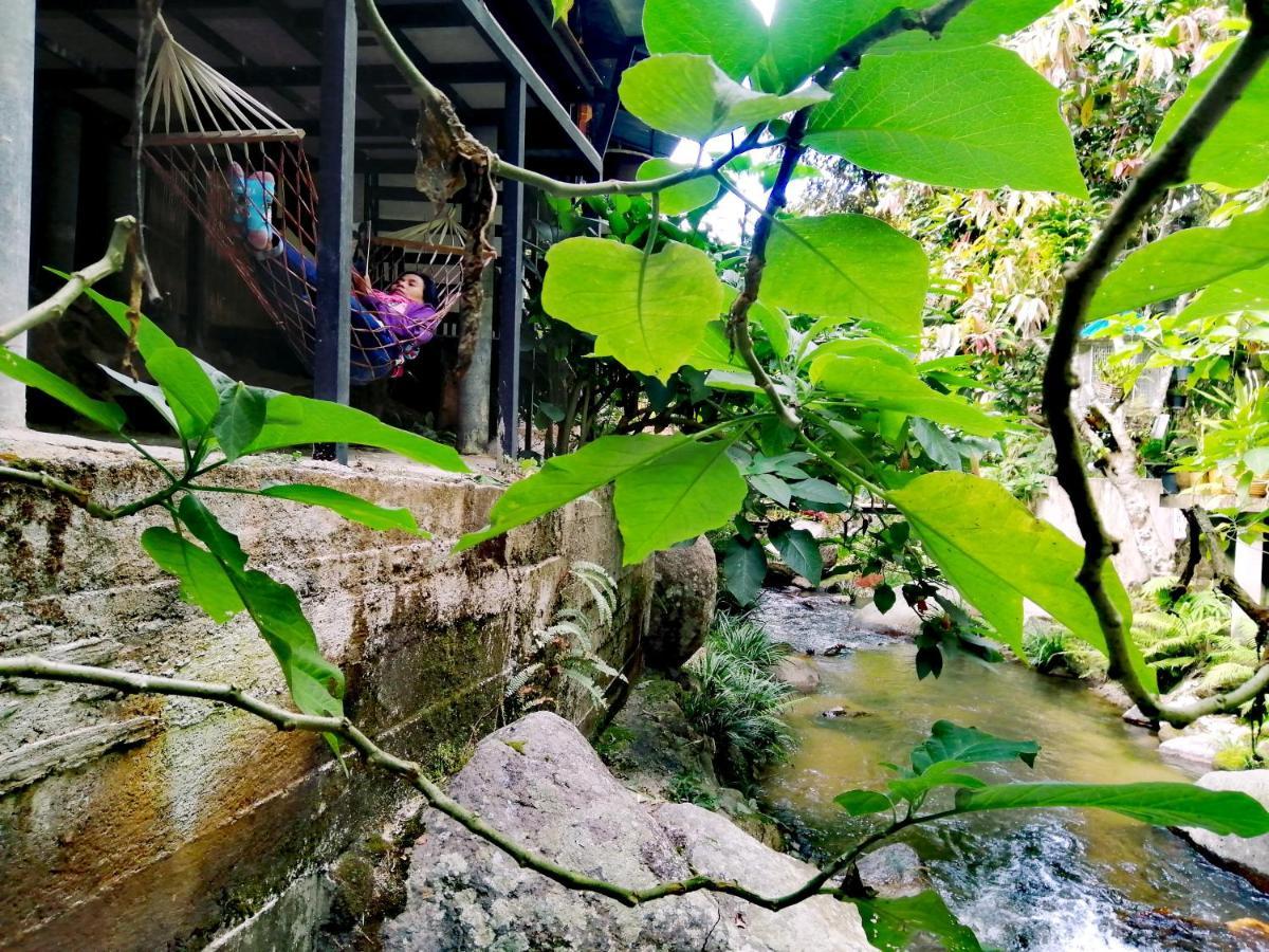 แม่อุ๊ยโฮมสเตย์&Mae Uai Homestay Banpoknaj Kültér fotó